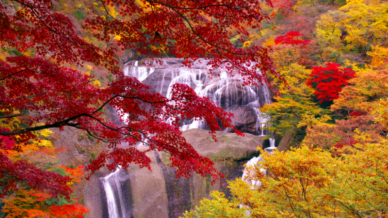 Ghé thăm thị trấn Daigo – nơi có thác nước nổi tiếng nhất Nhật Bản
