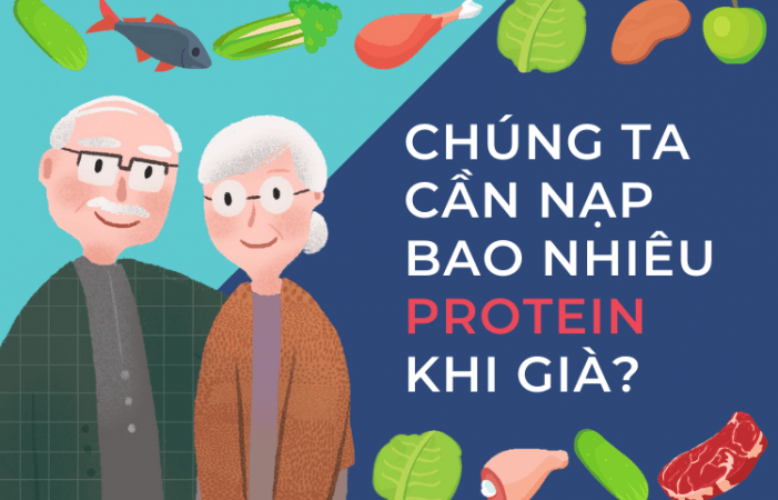 Lượng protein cần thiết để người già trên 70 tuổi cung cấp hằng ngày
