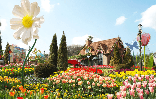 Mùa xuân tại Hàn Quốc có thể ngắm hoa anh đào