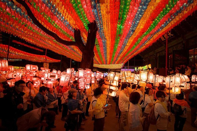 Du lịch Hàn Quốc vào mùa xuân có thể ghé thăm lễ hội đèn lồng hoa sen 