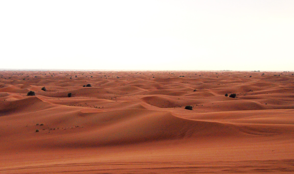 Sa mạc Safari Qatar 