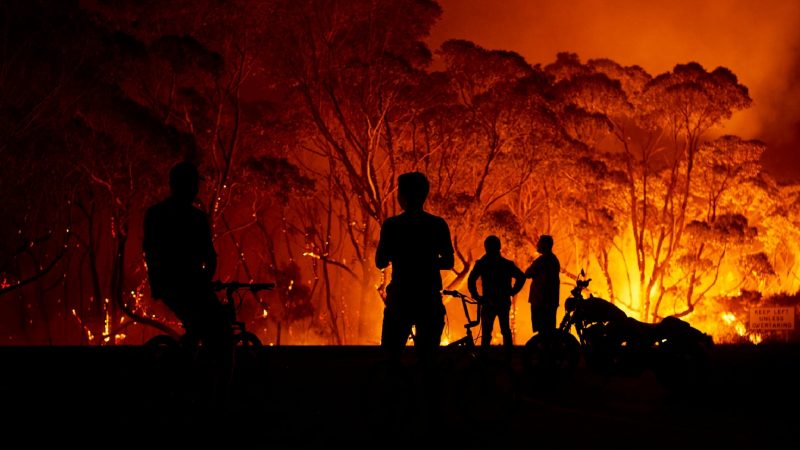 Tổng hợp 7 cách du lịch Australia đợt cháy rừng bạn nên biết